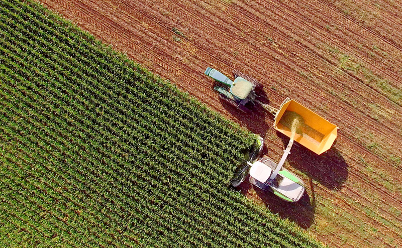 Agriculture