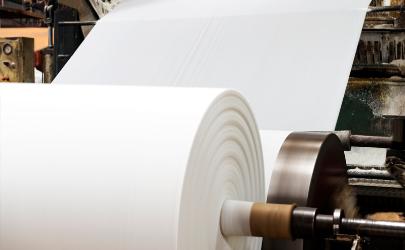 Pulp & Paper