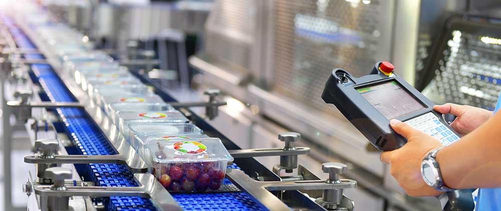 Food Manufacturing and AI