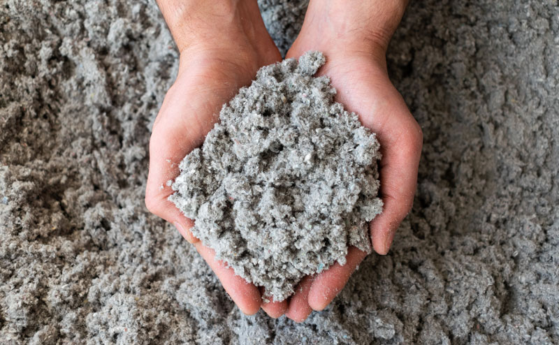 Paper Fibres