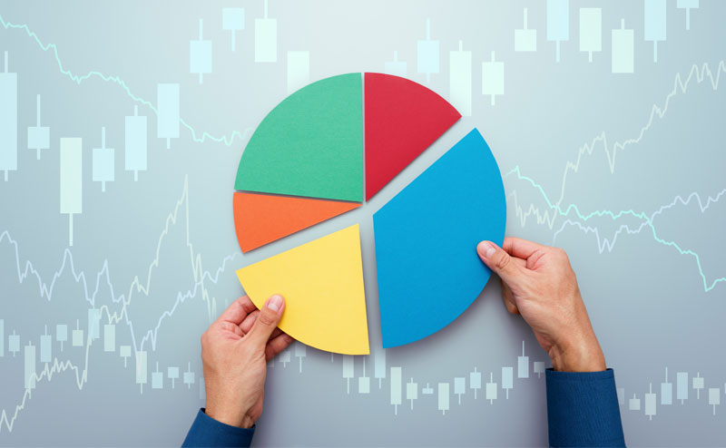 Diversification Strategy Pie Chart