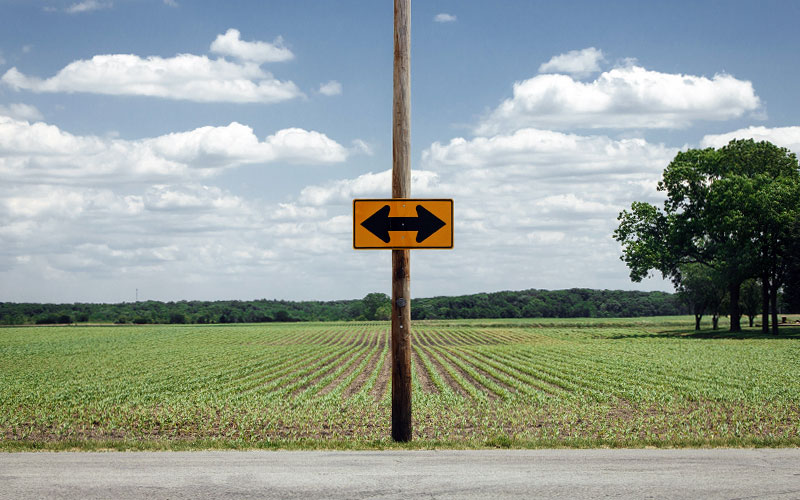 Which way to turn?